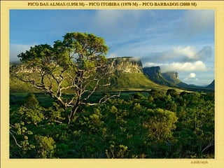 PICO DAS ALMAS (1.958 M) – PICO ITOBIRA (1970 M) – PICO BARBADOS (2080 M) 