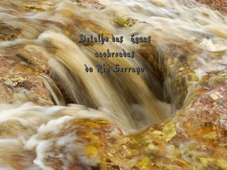 Detalhe das  águas acobreadas do Rio Serrano  