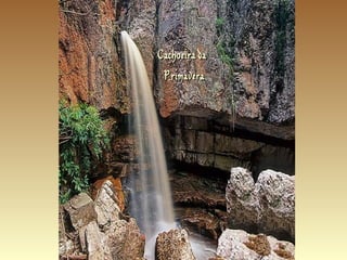 Cachoeira da  Primavera 