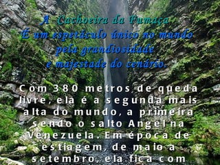 Com 380 metros de queda livre, ela é a segunda mais alta do mundo, a primeira sendo o salto Angel na Venezuela. Em época de estiagem, de maio a setembro, ela fica com pouca água e o vento leva de volta as gotinhas formando a famosa "Fumaça".   A   Cachoeira da Fumaça   É um espetáculo único no mundo pela grandiosidade  e majestade do cenário. 