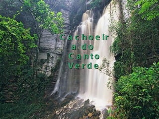 Cachoeira do  Canto Verde   