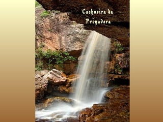 Cachoeira da  Primavera   