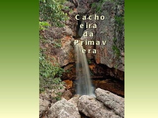 Cachoeira  da  Primavera   