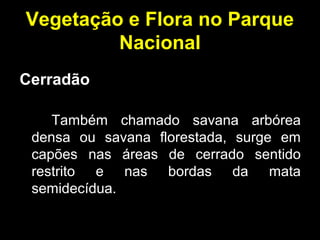 Vegetação e Flora no Parque
Nacional
Cerradão
Também chamado savana arbórea
densa ou savana florestada, surge em
capões nas áreas de cerrado sentido
restrito e nas bordas da mata
semidecídua.
 