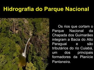 Hidrografia do Parque Nacional
Os rios que cortam o
Parque Nacional da
Chapada dos Guimarães
integram a Bacia do Alto
Paraguai e são
tributários do rio Cuiabá,
um dos principais
formadores da Planície
Pantaneira.
 