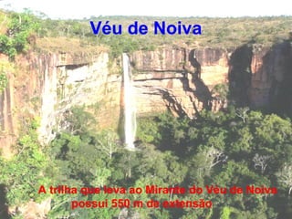 Véu de Noiva
A trilha que leva ao Mirante do Véu de Noiva
possui 550 m de extensão
 