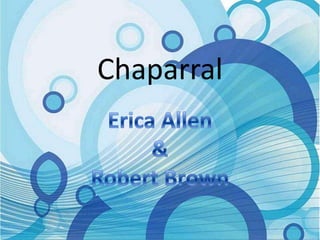 Chaparral Erica Allen & Robert Brown 