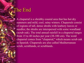 The End A chaparral is a shrubby coastal area that has hot dry summers and mild, cool, rainy winters. Chaparrals consist of regions of tall, dense shrubs with leathery leaves or needles; the shrubs are interspersed with some woodland (scrub oak). The total annual rainfall in a chaparral ranges from 15 to 40 inches per year (38-100 cm). The word chaparral comes from "chaparral," which means scrub oak in Spanish. Chaparrals are also called Mediterranean scrub, scrublands, or scrublands.  