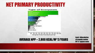 NET PRIMARY PRODUCTIVITY
AVERAGE NPP – 2,800 KCAL/M^2/YEARS
kcal= kilocalories
of organic matter
M^2= square mete
 