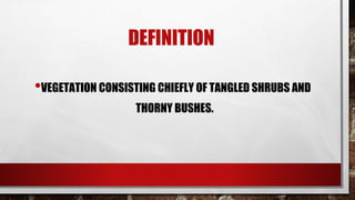 DEFINITION
•VEGETATION CONSISTING CHIEFLY OF TANGLED SHRUBS AND
THORNY BUSHES.
 