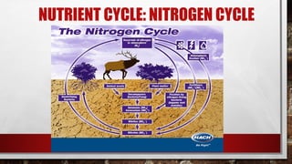 NUTRIENT CYCLE: NITROGEN CYCLE
 
