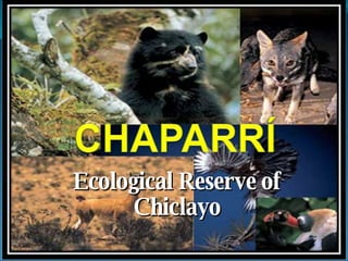 Ecological Reserve of Chiclayo 