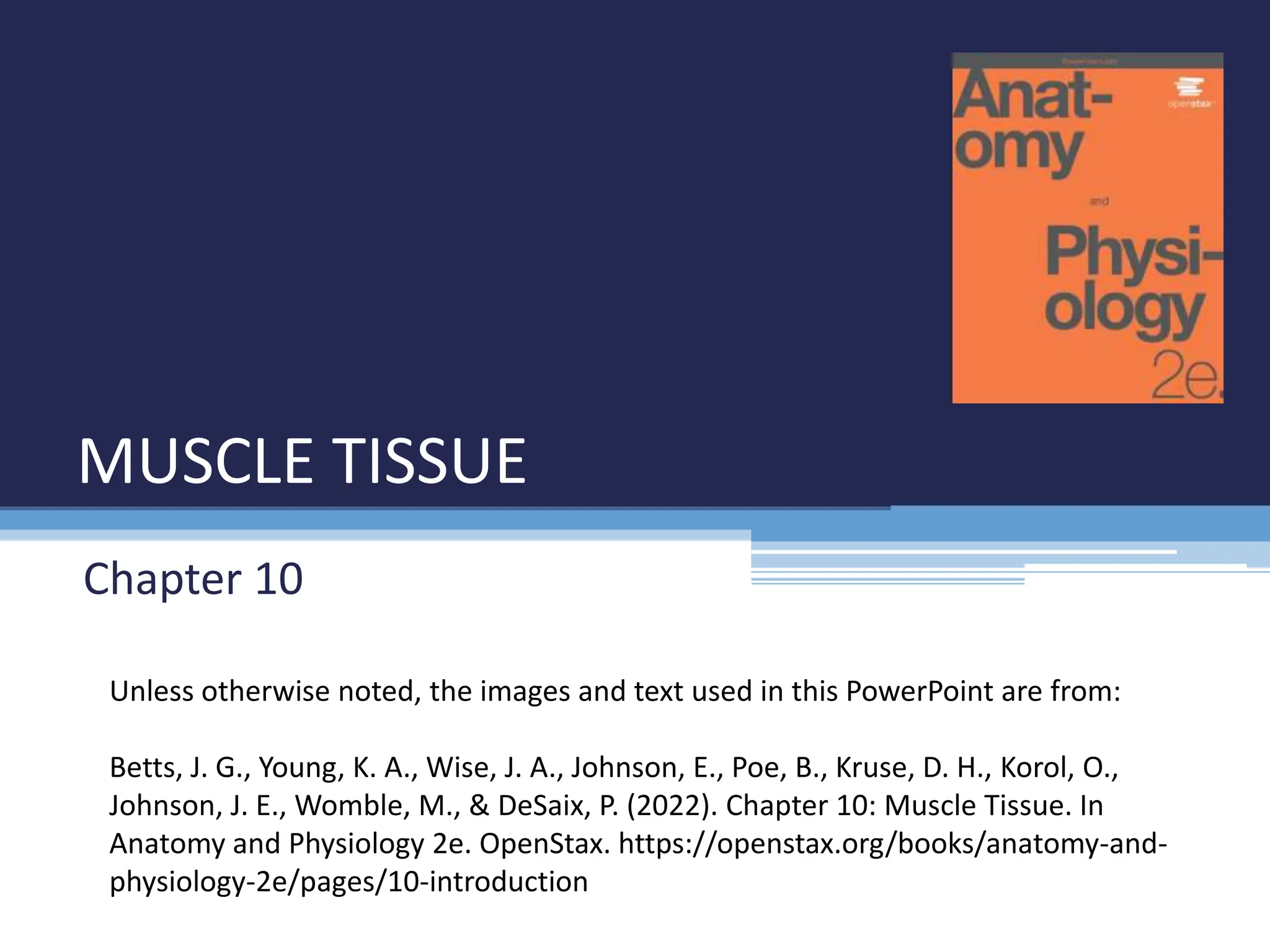 Anatomy Physiology 2e Chapter 10 Muscle Tissue Pptx
