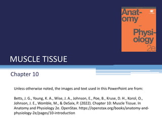 MUSCLE TISSUE
Chapter 10
Unless otherwise noted, the images and text used in this PowerPoint are from:
Betts, J. G., Young, K. A., Wise, J. A., Johnson, E., Poe, B., Kruse, D. H., Korol, O.,
Johnson, J. E., Womble, M., & DeSaix, P. (2022). Chapter 10: Muscle Tissue. In
Anatomy and Physiology 2e. OpenStax. https://openstax.org/books/anatomy-and-
physiology-2e/pages/10-introduction
 