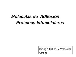   Moléculas de  Adhesión Proteínas Intracelulares Biología Celular y Molecular UPSJB 