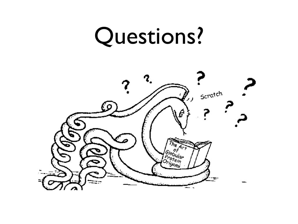 chaperone proteins help other proteins chaperone proteins help other proteins