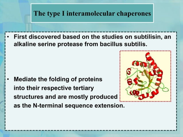 Chapperone Sign Chaperones | PPTX | Genetics | Science