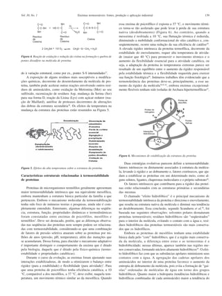 Vol. 30, No. 1                                Enzimas termoestáveis: fontes, produção e aplicação industrial                                       139

                                                                                essa enzima de psicrofílico é exposta a 37 °C, o movimento térmi-
                                                                                co torna-se tão acelerado que pode levar à perda de sua estrutura
                                                                                nativa (desdobramento) (Figura 6). Ao contrário, quando a
                                                                                mesozima é resfriada a 10 °C, sua flutuação térmica é reduzida,
                                                                                diminuindo a mobilidade conformacional do sítio catalítico e, con-
                                                                                seqüentemente, ocorre uma redução da sua eficiência de catálise39.
                                                                                A elevada rigidez intrínseca da proteína termofílica, decorrente da
                                                                                estabilidade do enovelamento, requer alta temperatura de ativida-
Figura 4. Reação de oxidação e redução da cistina na formação e quebra de       de (maior que 40 °C) para promover o movimento térmico e o
pontes dissulfeto na molécula de proteína                                       aumento da flexibilidade essencial para a atividade catalítica, ou
                                                                                seja, a adaptação da proteína às temperaturas extremas parece ser
                                                                                resultado de um equilíbrio entre o aumento da rigidez responsável
do à variação estrutural, como por ex., pontes S-S interunidades37.             pela estabilidade térmica e a flexibilidade requerida para exercer
    A exposição de alguns resíduos mais susceptíveis a modifica-                sua função fisiológica40. Inúmeros trabalhos têm evidenciado que a
ções químicas, decorrente do desenrolamento da molécula de pro-                 termotolerância das proteínas deve-se, principalmente, a esse au-
teína, também pode acelerar outras reações envolvendo outros resí-              mento da rigidez da molécula39,41,42, embora enzimas excepcional-
duos de aminoácidos, como oxidação da Metionina (Met) ao seu                    mente flexíveis tenham sido isoladas de Archaea hipertermofílicas43.
sulfóxido, racemização de resíduos Asp, mudança da Serina (Ser)
para sua forma D, reação da Lisina (Lys) com açúcar redutor (rea-
ção de Maillard), autólise de proteases decorrentes de alterações
das dobras da estrutura secundária38. Os efeitos da temperatura na
mudança da estrutura das proteínas estão resumidos na Figura 5.




                                                                                Figura 6. Mecanismos de estabilização da estrutura da proteína

                                                                                     Duas estratégias evolutivas parecem definir a termoestabilidade:
Figura 5. Efeitos da alta temperatura sobre a estrutura da proteína             fatores intrínsecos ou diretamente associados à estrutura da molécu-
                                                                                la, levando à rigidez e ao dobramento e, fatores extrínsecos, que aju-
Características estruturais relacionadas à termoestabilidade                    dam a estabilizar as proteínas em um determinado meio, como al-
de proteínas                                                                    guns solutos, ligantes, chaperonas moleculares e o próprio substrato44.
                                                                                     Os fatores intrínsecos que contribuem para a rigidez das proteí-
    Proteínas de microrganismos termófilos geralmente apresentam                nas estão relacionados com as estruturas primárias e secundárias
maior termoestabilidade intrínseca que sua equivalente mesofílica,              das mesmas.
embora mantenham a estrutura básica particular da família a que                      O chamado “efeito hidrofóbico” é o principal mecanismo de
pertencem. Embora o mecanismo molecular da termoestabilização                   termoestabilidade intrínseca da proteína e direciona o enovelamento,
tenha sido foco de inúmeras teorias e pesquisas, ainda não é com-               que resulta na estrutura nativa da molécula e diminui sua tendência
pletamente entendido. Entretanto, algumas diferenças na seqüên-                 ao desdobramento. Essa conclusão, segundo Scandurra et al.36, foi
cia, estrutura, função, propriedades dinâmicas e termodinâmicas                 baseada nas seguintes observações: solventes polares desnaturam
foram constatadas entre enzimas de psicrófilos, mesófilos e                     proteínas termoestáveis; resíduos hidrofóbicos são “seqüestrados”
termófilos3. Deve ser destacado, porém, que as diferenças observa-              para o interior da molécula, evitando o contato com a água e, resí-
das nas seqüências das proteínas nem sempre podem ser relaciona-                duos hidrofóbicos das proteínas termoestáveis são mais conserva-
das com termoestabilidade, considerando-se que uma combinação                   dos que os hidrofílicos.
de fatores de pressão seletiva atuaram sobre as proteínas por mi-                    Embora as proteínas de mesófilos tenham uma estabilidade
lhões de anos (pressão, pH, temperatura), além das mutações que                 básica dada pelo “core” hidrofóbico, que é a região mais conserva-
se acumularam. Dessa forma, para elucidar o mecanismo adaptativo                da da molécula, a diferença entre estas e as termozimas é a
é importante distinguir o comportamento da enzima que é ditado                  hidrofobicidade; nessas últimas, aparece também nas regiões me-
pela biologia, daquele que é ditado pela físico-química (termo-                 nos conservadas, formando núcleos altamente hidrofóbicos45. O efei-
estabilidade e propriedades catalíticas).                                       to hidrofóbico faz com que as substâncias apolares minimizem seus
    Durante o curso da evolução, as enzimas foram ajustando suas                contatos com a água. A agregação das cadeias apolares dos
interações estabilizadoras, de modo a otimizarem o balanço entre                aminoácidos no interior de uma proteína favorece o aumento da
rigidez (para a estabilidade) e flexibilidade (para atividade)7. Para           entropia de dobramento da molécula, pois evita a formação de “gai-
que uma proteína de psicrofílico tenha eficiência catalítica, a 10              olas” ordenadas de moléculas de água em torno dos grupos
°C, comparável a dos mesófilos, a 37 °C, deve exibir, naquela tem-              hidrofóbicos. Quanto maior a hidropatia (tendências hidrofóbicas e
peratura, um movimento térmico similar ao da mesofílica. Quando                 hidrofílicas combinadas de cada aminoácido) maior a tendência do
 