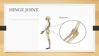 HINGE JOINT
 