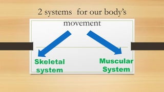 2 systems for our body’s
movement
Muscular
System
 