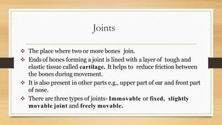 Joints
 The place where two or more bones join.
 Ends of bones forming a joint is lined with a layer of tough and
elastic tissue called cartilage. It helps to reduce friction between
the bones during movement.
 It is also present in other parts e.g., upper part of ear and front part
of nose.
 There are three types of joints- Immovable or fixed, slightly
movable joint and freely movable.
 
