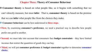 Comprehensive Analysis of Consumer Behaviour and Utility Theory | PDF