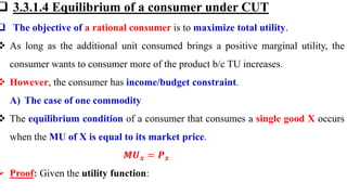 Comprehensive Analysis of Consumer Behaviour and Utility Theory | PDF