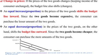 Comprehensive Analysis of Consumer Behaviour and Utility Theory | PDF
