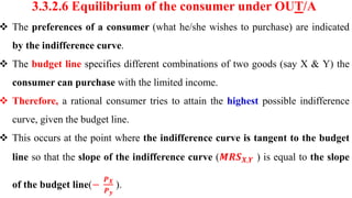 Comprehensive Analysis of Consumer Behaviour and Utility Theory | PDF