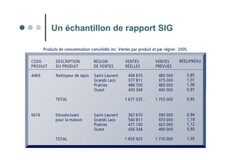 50
Un échantillon de rapport SIG
 