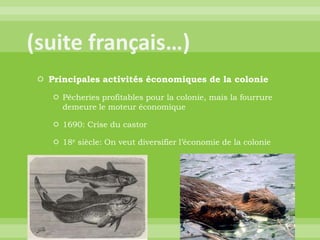 (suite français…)Principales activités économiques de la coloniePêcheries profitables pour la colonie, mais la fourrure demeure le moteur économique1690: Crise du castor18e siècle: On veut diversifier l’économie de la colonie