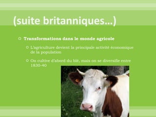 (suite britanniques…)Transformations dans le monde agricoleL’agriculture devient la principale activité économique de la populationOn cultive d’abord du blé, mais on se diversifie entre 1830-40