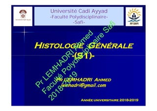 Université Cadi Ayyad
-Faculté Polydisciplinaire-
-Safi-
Université Cadi Ayyad
-Faculté Polydisciplinaire-
-Safi-
HHISTOLOGIEISTOLOGIE GGÉNÉRALEÉNÉRALE
--(S1)(S1)--
PPRR LEMHADRI ALEMHADRI AHMEDHMED
lemhadri@gmail.comlemhadri@gmail.com
Année universitaire 2018-2019
HHISTOLOGIEISTOLOGIE GGÉNÉRALEÉNÉRALE
--(S1)(S1)--
PPRR LEMHADRI ALEMHADRI AHMEDHMED
lemhadri@gmail.comlemhadri@gmail.com
PrLEM
H
AD
R
IAhm
ed
Faculté
Polydisciplinaire
Safi
2018-2019
 