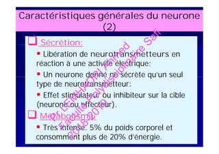Caractéristiques générales du neurone
(2)
 Sécrétion:
 Libération de neurotransmetteurs en
réaction à une activité électrique;
 Un neurone donné ne sécrète qu’un seul
type de neurotransmetteur:
 Effet stimulateur ou inhibiteur sur la cible
(neurone ou effecteur).
 Métabolisme:
 Très intense. 5% du poids corporel et
consomment plus de 20% d’énergie.
 Sécrétion:
 Libération de neurotransmetteurs en
réaction à une activité électrique;
 Un neurone donné ne sécrète qu’un seul
type de neurotransmetteur:
 Effet stimulateur ou inhibiteur sur la cible
(neurone ou effecteur).
 Métabolisme:
 Très intense. 5% du poids corporel et
consomment plus de 20% d’énergie.
PrLEM
H
AD
R
IAhm
ed
Faculté
Polydisciplinaire
Safi
2018-2019
 