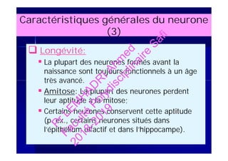 Caractéristiques générales du neurone
(3)
 Longévité:
 La plupart des neurones formés avant la
naissance sont toujours fonctionnels à un âge
très avancé.
 Amitose: La plupart des neurones perdent
leur aptitude à la mitose;
 Certains neurones conservent cette aptitude
(p. ex., certains neurones situés dans
l’épithélium olfactif et dans l’hippocampe).
 Longévité:
 La plupart des neurones formés avant la
naissance sont toujours fonctionnels à un âge
très avancé.
 Amitose: La plupart des neurones perdent
leur aptitude à la mitose;
 Certains neurones conservent cette aptitude
(p. ex., certains neurones situés dans
l’épithélium olfactif et dans l’hippocampe).
PrLEM
H
AD
R
IAhm
ed
Faculté
Polydisciplinaire
Safi
2018-2019
 