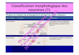 Classification morphologique des
neurones (1)
D’après le nombre de prolongement partant du corps cellulaire
PrLEM
H
AD
R
IAhm
ed
Faculté
Polydisciplinaire
Safi
2018-2019
 