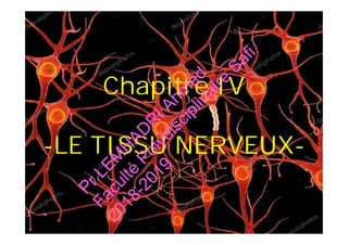 Chapitre IVChapitre IV
--LELE TISSUTISSU NERVEUXNERVEUX--
Chapitre IVChapitre IV
--LELE TISSUTISSU NERVEUXNERVEUX--
PrLEM
H
AD
R
IAhm
ed
Faculté
Polydisciplinaire
Safi
2018-2019
 