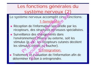 Le système nerveux accomplit cinq fonctions:
1-Sensibilité:
 Réception de l’information sensorielle par les
récepteurs, des structures nerveuses spécialisées.
 Surveillance des changements dans
l’environnement interne ou externe, soit les
stimulus (p. ex., les récepteurs cutanés décèlent
les stimulus relatifs au toucher).
2-Intégration:
 Traitement et évaluation de l’information afin de
déterminer l’action à entreprendre.
Les fonctions générales du
système nerveux (2)
Le système nerveux accomplit cinq fonctions:
1-Sensibilité:
 Réception de l’information sensorielle par les
récepteurs, des structures nerveuses spécialisées.
 Surveillance des changements dans
l’environnement interne ou externe, soit les
stimulus (p. ex., les récepteurs cutanés décèlent
les stimulus relatifs au toucher).
2-Intégration:
 Traitement et évaluation de l’information afin de
déterminer l’action à entreprendre.
PrLEM
H
AD
R
IAhm
ed
Faculté
Polydisciplinaire
Safi
2018-2019
 