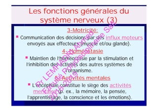3-Motricité:
 Communication des décisions par des influx moteurs
envoyés aux effecteurs (muscle et/ou glande).
4- Homéostasie
 Maintien de l’homéostasie par la stimulation et
l’inhibition des activités des autres systèmes de
l’organisme.
5- Activités mentales
 L’encéphale constitue le siège des activités
mentales (p. ex., la mémoire, la pensée,
l’apprentissage, la conscience et les émotions).
Les fonctions générales du
système nerveux (3)
3-Motricité:
 Communication des décisions par des influx moteurs
envoyés aux effecteurs (muscle et/ou glande).
4- Homéostasie
 Maintien de l’homéostasie par la stimulation et
l’inhibition des activités des autres systèmes de
l’organisme.
5- Activités mentales
 L’encéphale constitue le siège des activités
mentales (p. ex., la mémoire, la pensée,
l’apprentissage, la conscience et les émotions).
PrLEM
H
AD
R
IAhm
ed
Faculté
Polydisciplinaire
Safi
2018-2019
 