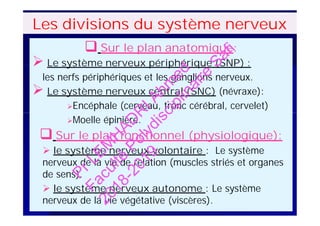  Sur le plan anatomique:
 Le système nerveux périphérique (SNP) :
les nerfs périphériques et les ganglions nerveux.
 Le système nerveux central (SNC) (névraxe):
Encéphale (cerveau, tronc cérébral, cervelet)
Moelle épinière.
 Sur le plan fonctionnel (physiologique):
 le système nerveux volontaire : Le système
nerveux de la vie de relation (muscles striés et organes
de sens).
 le système nerveux autonome : Le système
nerveux de la vie végétative (viscères).
Les divisions du système nerveux
 Sur le plan anatomique:
 Le système nerveux périphérique (SNP) :
les nerfs périphériques et les ganglions nerveux.
 Le système nerveux central (SNC) (névraxe):
Encéphale (cerveau, tronc cérébral, cervelet)
Moelle épinière.
 Sur le plan fonctionnel (physiologique):
 le système nerveux volontaire : Le système
nerveux de la vie de relation (muscles striés et organes
de sens).
 le système nerveux autonome : Le système
nerveux de la vie végétative (viscères).
PrLEM
H
AD
R
IAhm
ed
Faculté
Polydisciplinaire
Safi
2018-2019
 