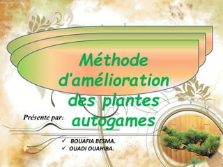 Méthode
d’amélioration
des plantes
autogamesPrésente par:
 BOUAFIA BESMA.
 OUADI OUAHIBA.
 