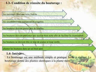 les boutures ne doivent être ni trop de jeunes ni trop vieille .
planter les boutures dans un sol bien aéré.
les boutures doivent porter peu de feuilles.
les boutures doivent présenter une section bien nette afin de faciliter la cicatrisation.
les soustraire à une transpiration exagérée.
les maintenir dans une terre fraîche.
1.3- Condition de réussite du bouturage :
1.4- Intérêt :
Le bouturage est une méthode simple et pratique facile à réaliser. Le
bouturage donne des plantes identiques à la plante mère.
 