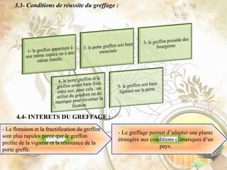 3.3- Conditions de réussite du greffage :
4.4- INTERETS DU GREFFAGE :
- Le greffage permet d’adapter une plante
étrangère aux conditions climatiques d’un
pays.
- La floraison et la fructification du greffon
sont plus rapides parce que le greffon
profite de la vigueur et la résistance de la
porte greffe.
 