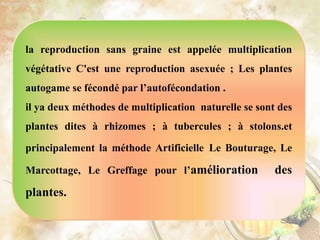 la reproduction sans graine est appelée multiplication
végétative C'est une reproduction asexuée ; Les plantes
autogame se fécondé par l’autofécondation .
il ya deux méthodes de multiplication naturelle se sont des
plantes dites à rhizomes ; à tubercules ; à stolons.et
principalement la méthode Artificielle Le Bouturage, Le
Marcottage, Le Greffage pour l’amélioration des
plantes.
 