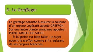 Le greffage consiste à assurer la soudure
d’un organe végétatif appelé GREFFON.
Sur une autre plante enracinée appelée :
PORTE GREFFE OU SUJET.
Si la greffe est bien faite ; le sujet
nourrit le greffon comme s’il s’agissant
de ses propres branches.
 