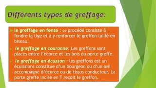 : ce procédé consiste à
fondre la tige et à y renforcer le greffon taillé en
biseau.
 : Les greffons sont
placés entre l’écorce et les bois du porte greffe.
 : les greffons est un
écuissions constitue d’un bourgeon ou d’un œil
accompagné d’écorce ou de tissus conducteur. La
porte greffe incisé en T reçoit le greffon.
 