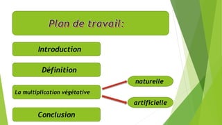  Introduction
Définition
La multiplication végétative
naturelle
artificielle
Conclusion
 