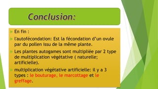  En fin :
 l'autofécondation: Est la fécondation d’un ovule
par du pollen issu de la même plante.
 Les plantes autogames sont multipliée par 2 type
de multiplication végétative ( naturelle;
artificielle).
 multiplication végétative artificielle: il y a 3
types : le bouturage, le marcottage et le
greffage.
 