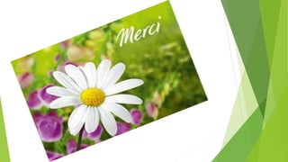 Chapitre 02 methode d'amelioration