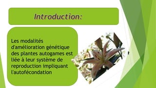 Les modalités
d'amélioration génétique
des plantes autogames est
liée à leur système de
reproduction impliquant
l'autofécondation
 